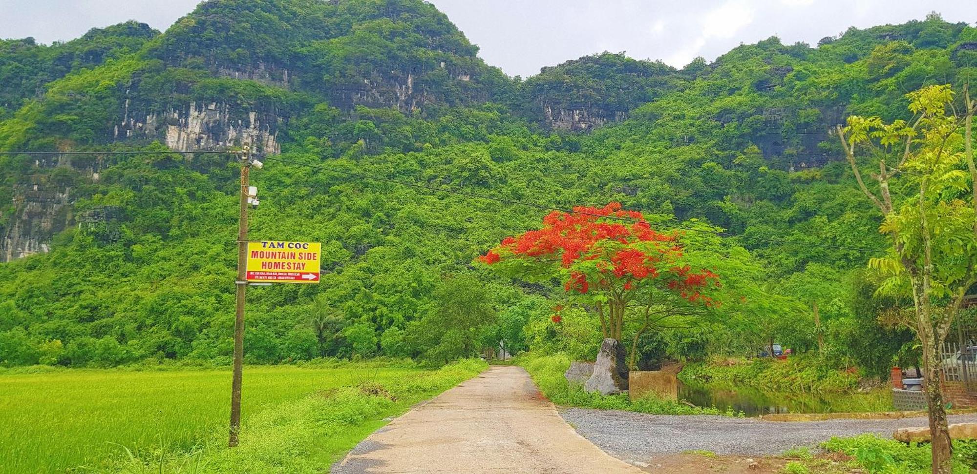 Tam Coc Moutainside Homestay Ninh Binh Exterior photo